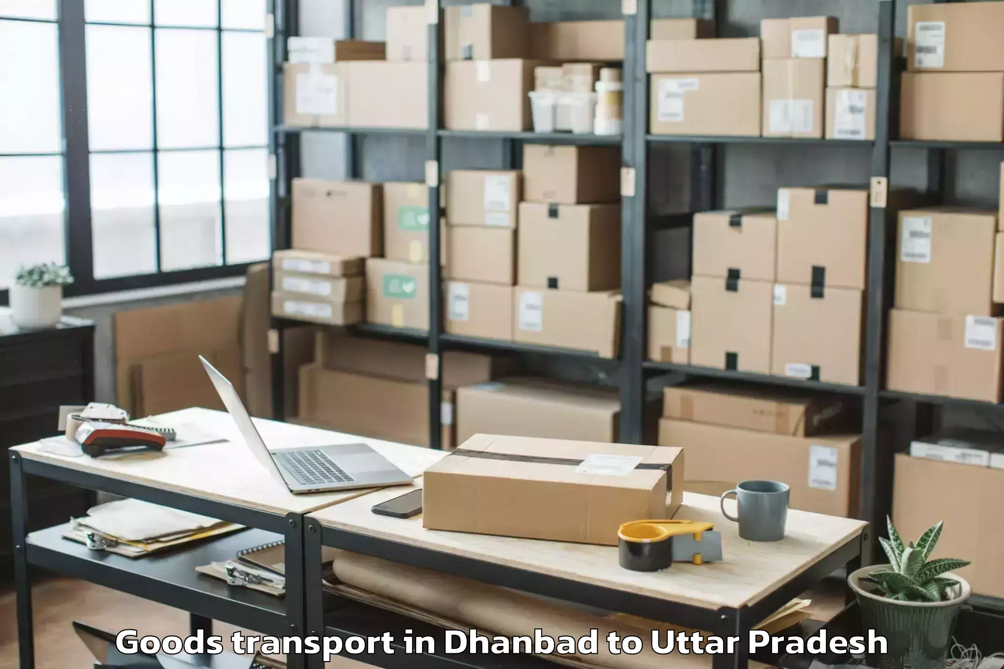 Top Dhanbad to Mathura Goods Transport Available